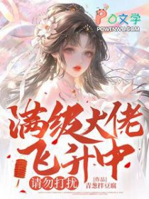 满级大佬飞升中，请勿打扰